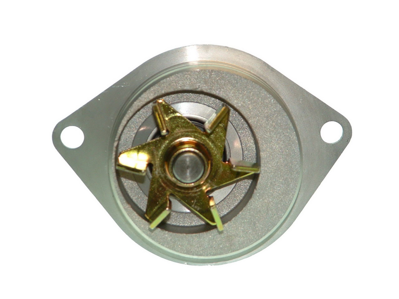 SALERI - PA720P - Водяной насос