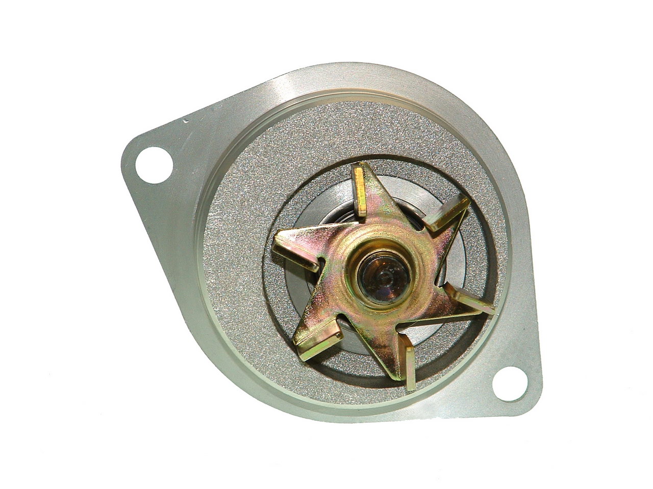 SALERI - PA938 - Водяной насос